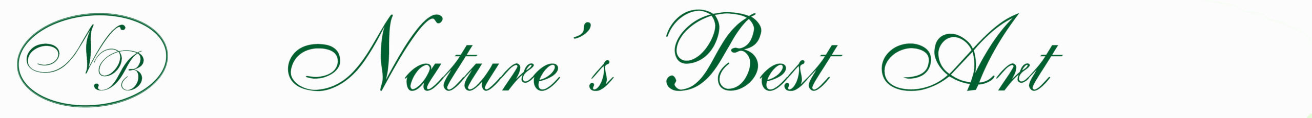 Nature's Best Art Logo
