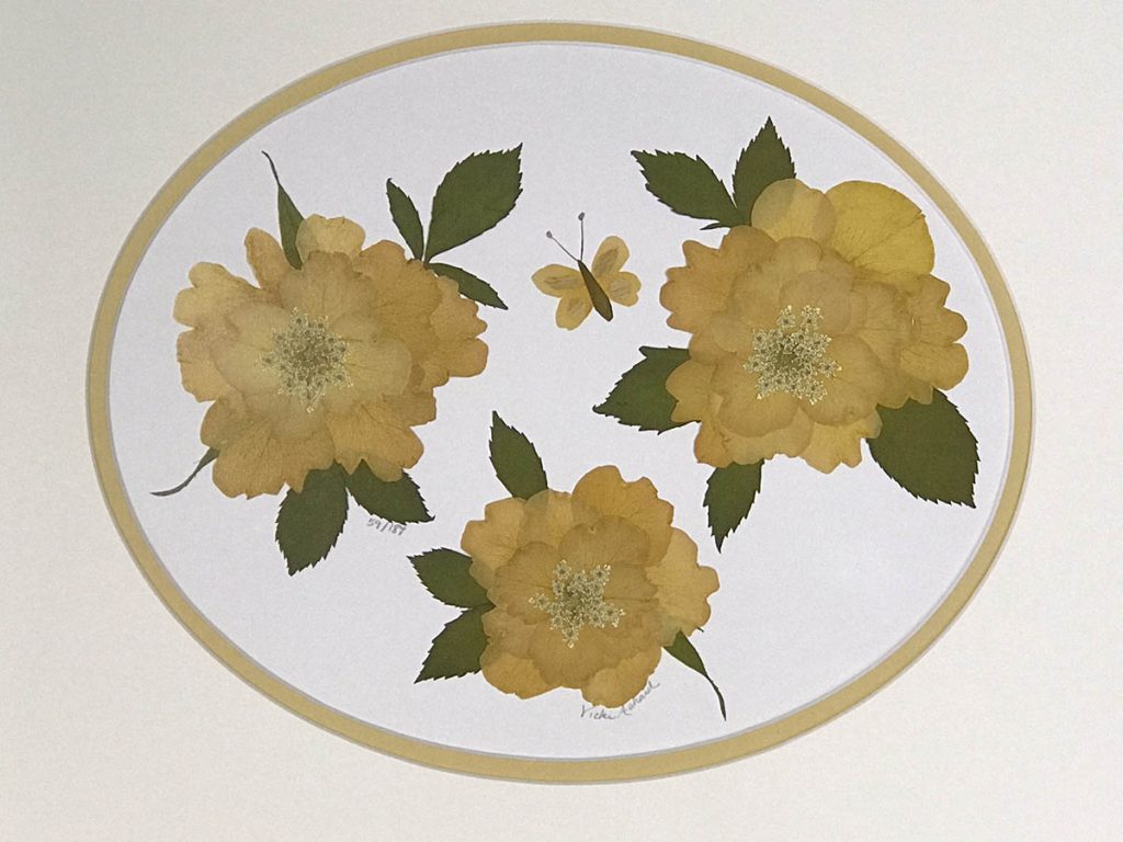 Pressed Floral print of 3 rose designs and butterfly - oval matted white outer mat and yellow inner mat - edition 59 of 187