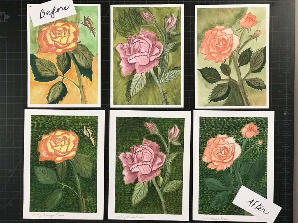 six watercolor pictures of roses before and after revision
