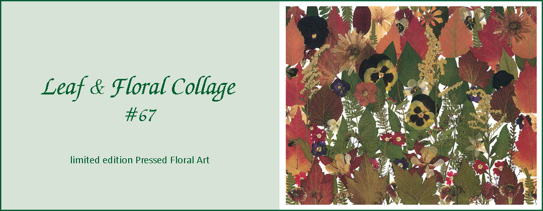 fall themed pressed floral collage