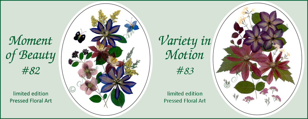 two pressed floral designs with flowers & butterflies