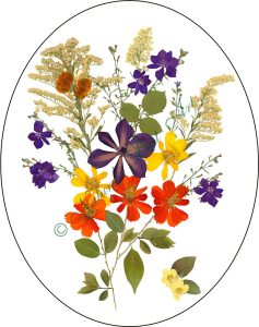 Fantastic Colors - #90 Limited edition giclée print of an original pressed floral design, signed in pencil