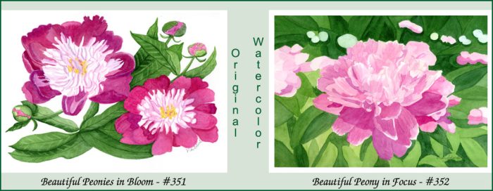 351 352 slide show