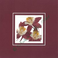 106 Columbine Special