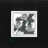 106A Columbine Special - B&W Special Edition
