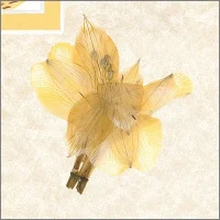 119 Wings in June I - mat flower